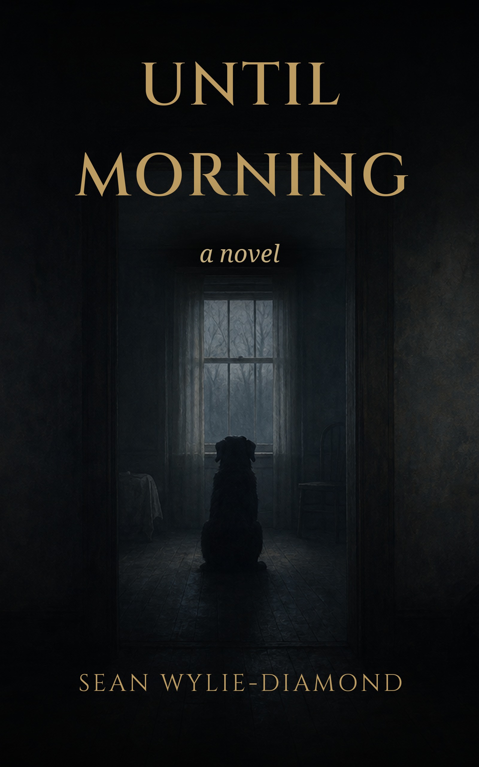 Until Morning cover